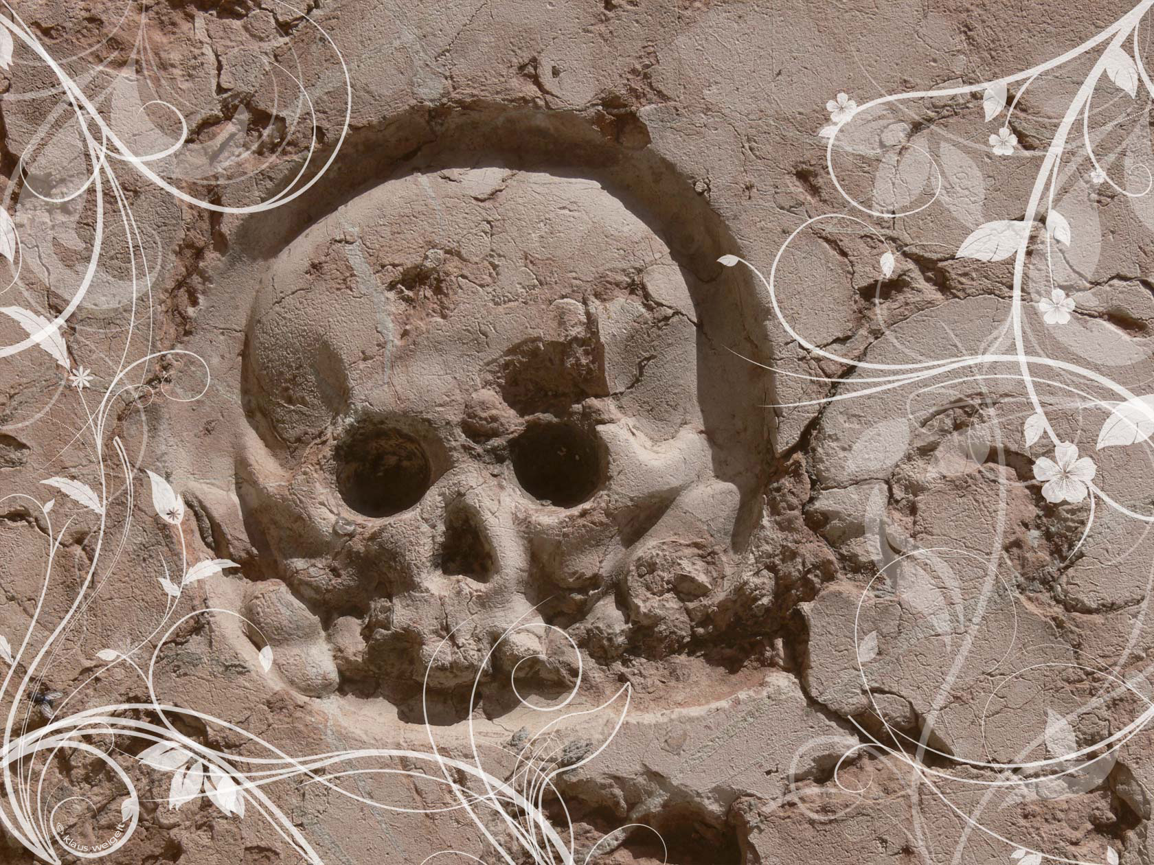 skull